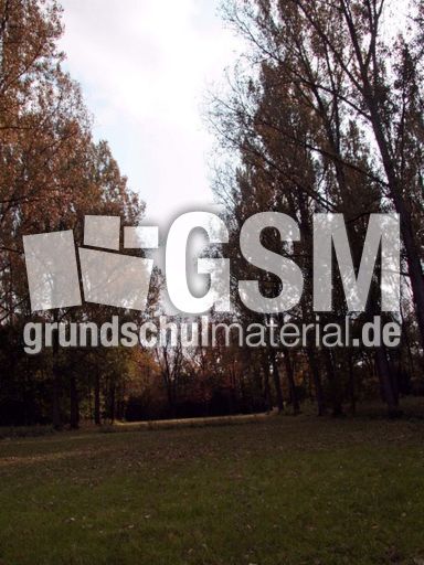 B-Herbststimmung 028.jpg